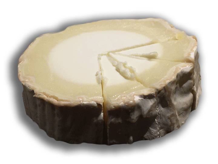 Image of a slice of Buche de Chevre.
