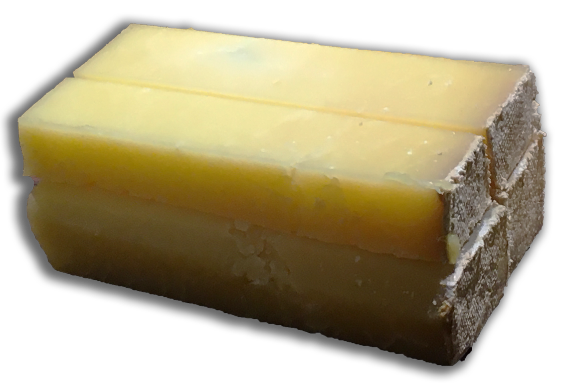 Image of a slice of Tallegio.